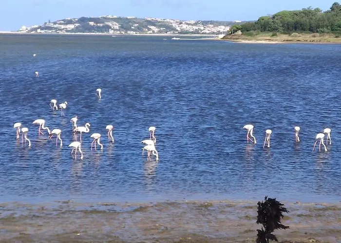 Casa Do Sol Nascente * Foz do Arelho